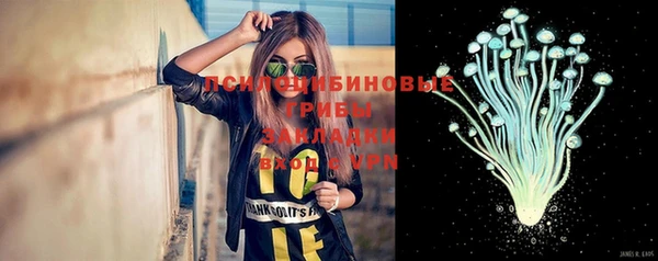 бошки Вяземский