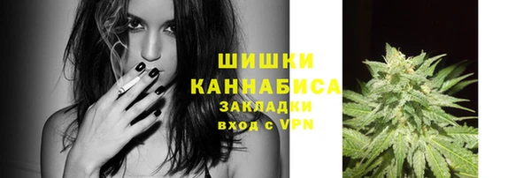 тгк Горно-Алтайск