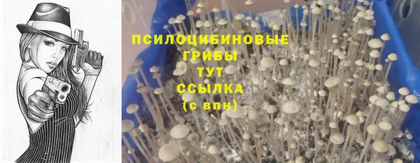 дмт Вязники