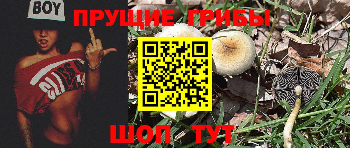 Ачинск  Галлюциногенные грибы Psilocybe  Вход с VPN  Галлюциногенные грибы Magic Shrooms 